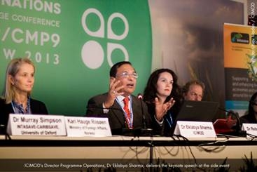 COP19: Call to tackle climate change challenges