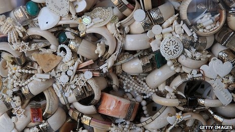 Confiscated ivory including tusks, carvings and jewellery
