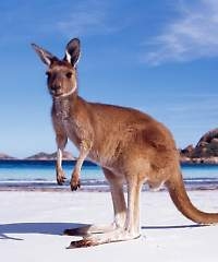 Australia’s tourism industry worth $80 billion