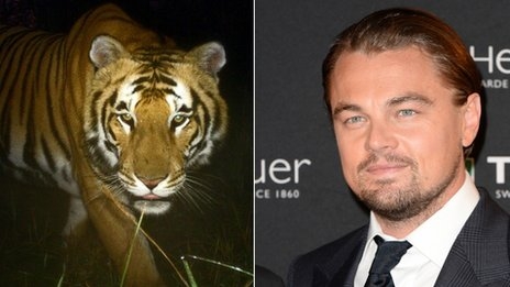 Titanic star Leonardo DiCaprio donates $3 million to help save tigers in Nepal
