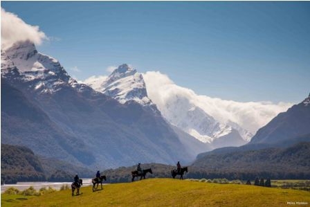 Horse trek in New Zealand