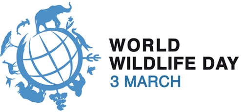 UN General Assembly proclaims 3 March as World Wildlife Day