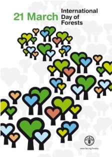 CITES celebrates the International Day of Forests
