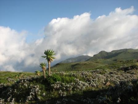Ethiopian conservation project winner of first UIAA Mountain Protection Award
