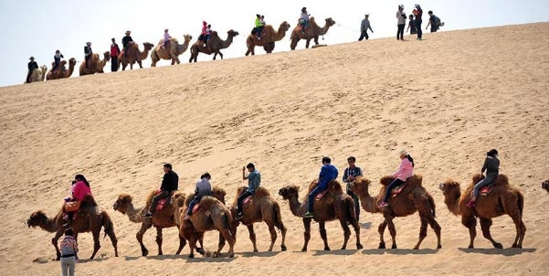 Ningxia receives 230,800 tourists during Qingming Festival