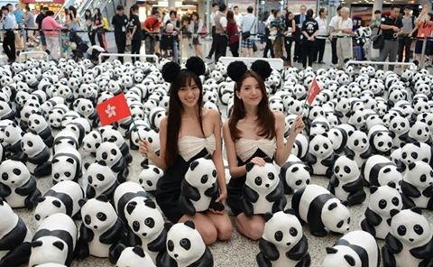 Pandas at Hong Kong International Airport
