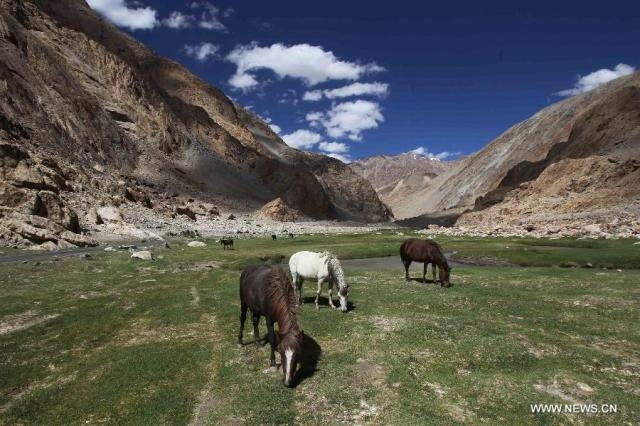 Ladakh : A Popular tourist destination-