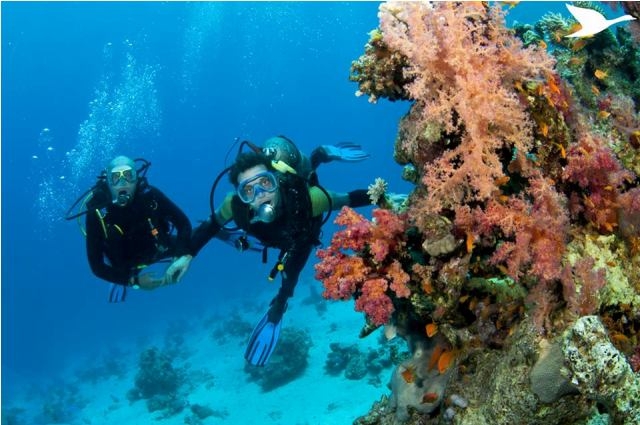 Scuba Diving – Popular tourism product