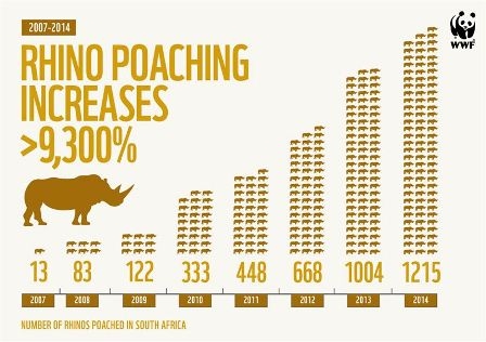 Make or break year for South Africa’s rhinos after poaching hits record high