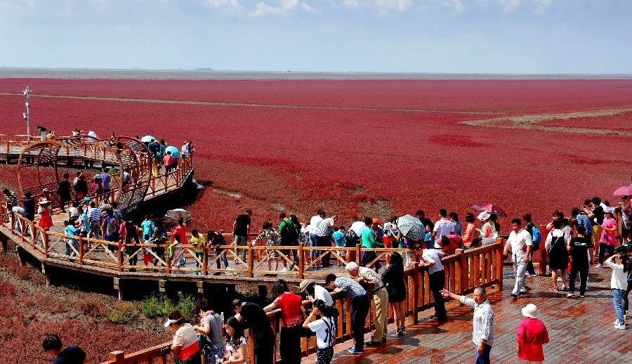 Red Beach in China