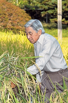 Japan celebrates National Day and 82nd birthday of Emperor Akihito