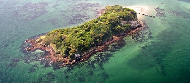 Aerial view of Sarushima – a small island at Kanagawa , Japan