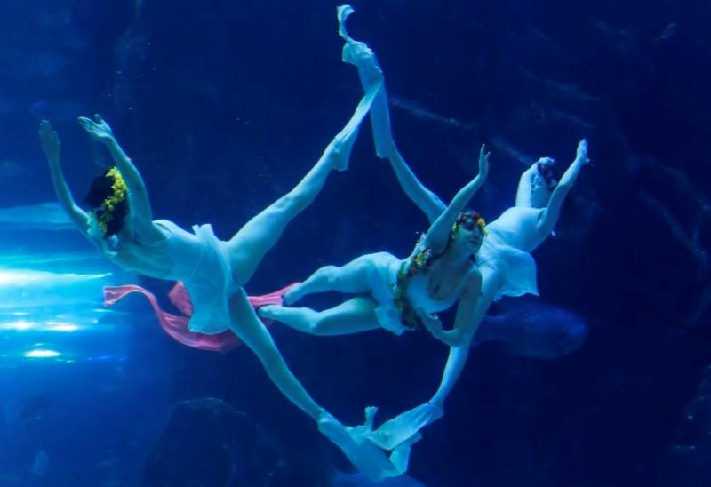 Underwater ballet performance in South Korea