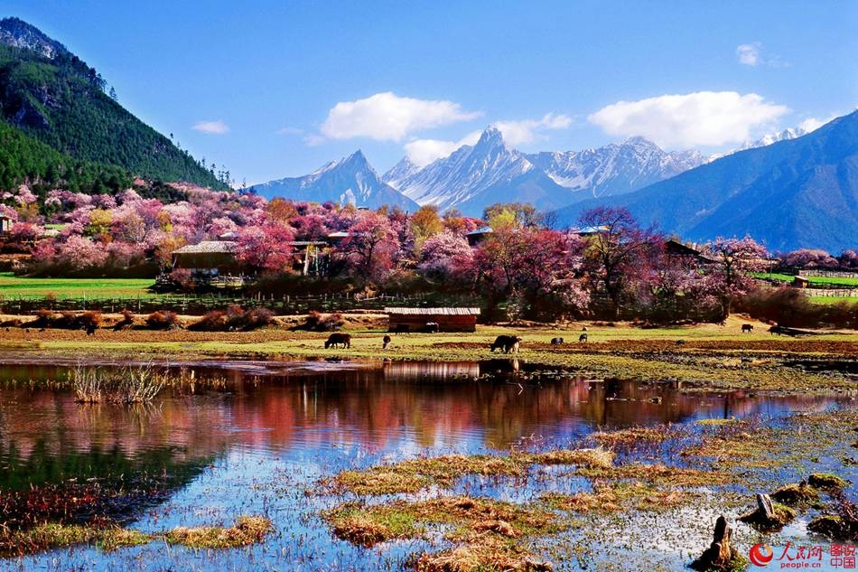 Scenery of Nyingchi, China’s Tibet Autonomous Region