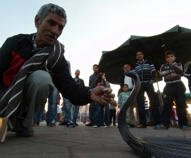 A snake charmer in Marrakesh, Morocco