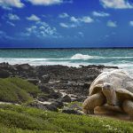 Galapagos Islands — Konstik/Istock.com pic via AFP