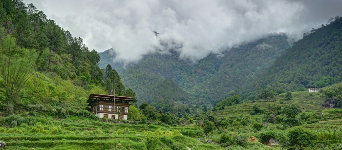 Investing in Bhutan’s forests for a sustainable future