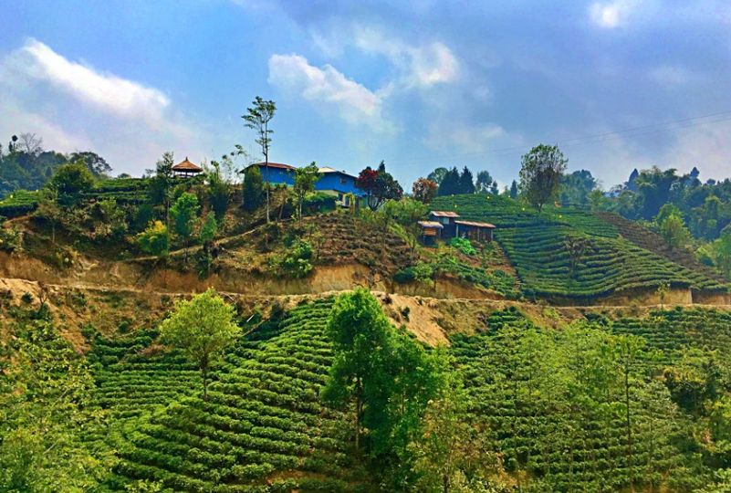 UNWTO Global Startup winners selected from 18 countries , SDG 8 to  Community Homestay Nepal