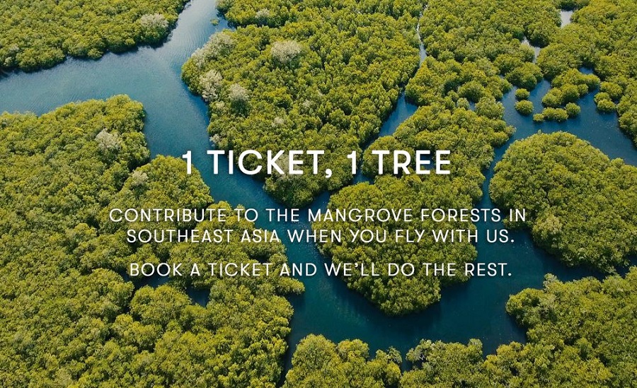 Cathay Pacific to plant mangrove trees across Southeast Asia