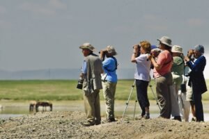 Ethical Wildlife Tourism: Conservation Stories from Mongolia