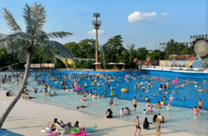 China : Family travel boom boosts summer  market