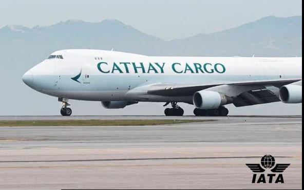 IATA releases 2025 world air transport statistics